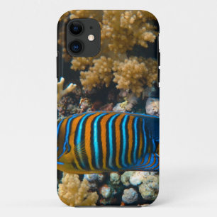 Cute Colourful Fish Case-Mate iPhone Case