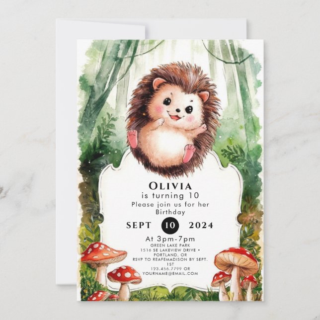 Cute Colourful Hedgehog Birthday Invitation (Front)
