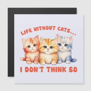 Cute Colourful Kittens - Life Without Cats?