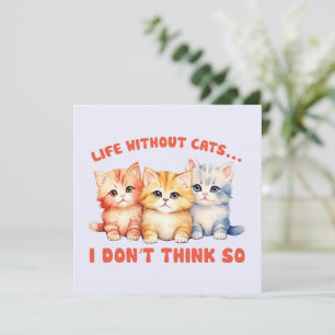 Cute Colourful Kittens - Life Without Cats?