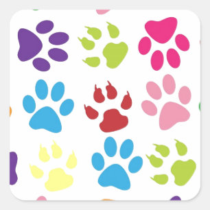Cute Colourful Paw Pattern Square Sticker