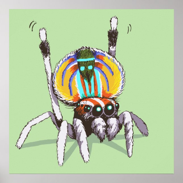 Cute Colourful Peacock Spider Drawing Art Poster (Front)