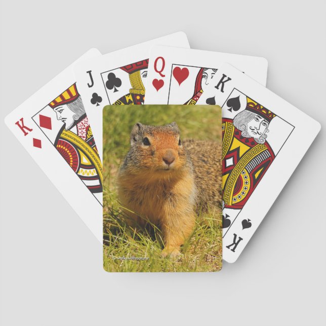 Cute Columbian Ground Squirrel in the Grass Playing Cards (Back)