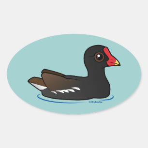 Cute Common Gallinule Oval Sticker