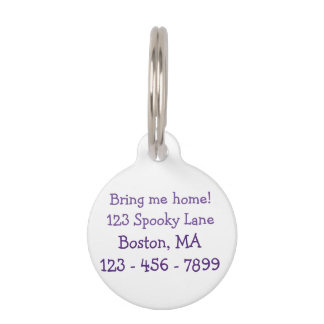 Cute Cool Sitting Cat with blue Eyes Pet Tag