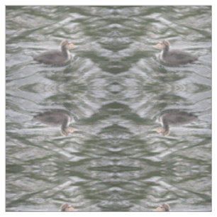 Cute Coot Chick on Choppy Waters Patterned Animal Fabric