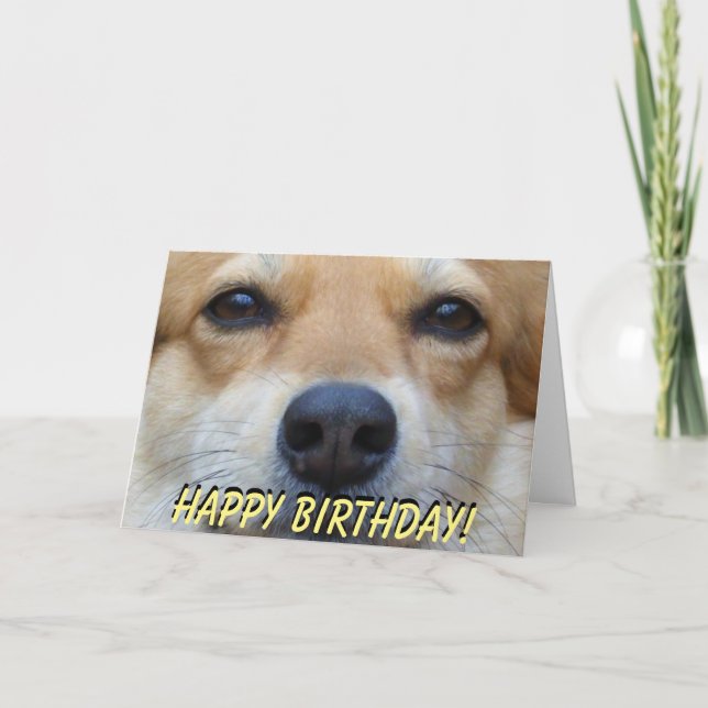 Cute corgi birthday card (Front)