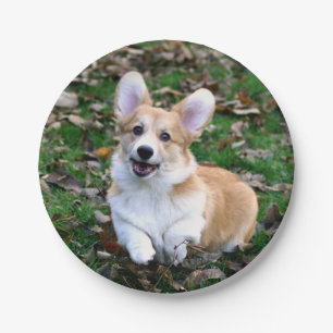Cute Corgi Dog Leaping Paper Plate