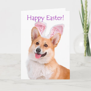 Cute Corgi Easter Card