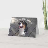 Cute Corgi Happy Birthday