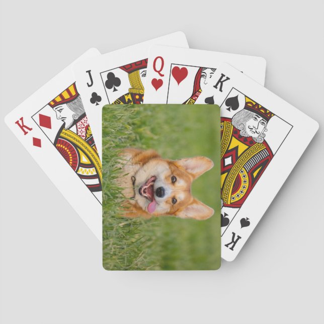Cute Corgi Playing in the Grass Cards (Back)