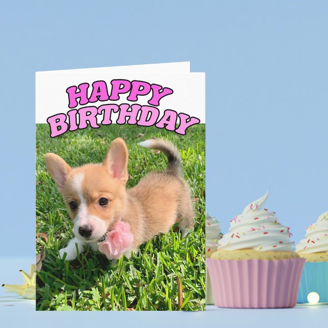 Cute Corgi Puppy Birthday Card (Creator Uploaded)