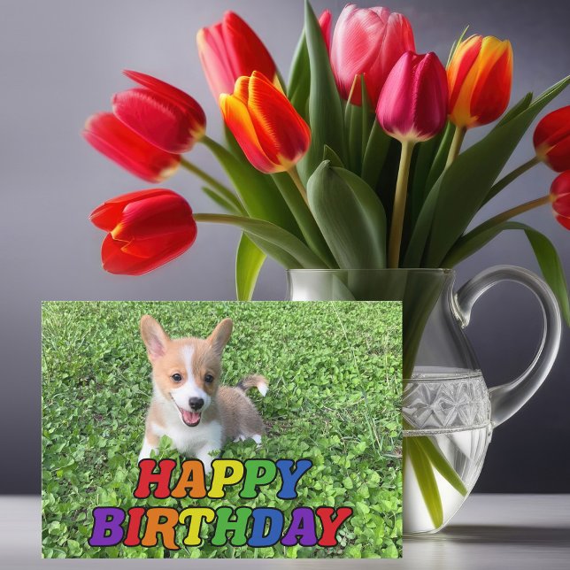 Cute Corgi Puppy Dog Photography Rainbow Birthday Card (Creator Uploaded)