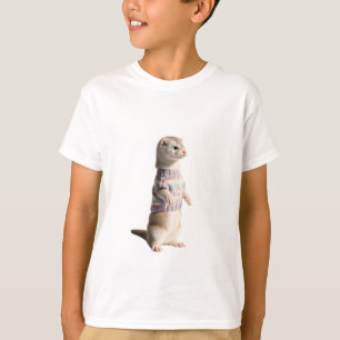 Cute Cosy Ferret in Rainbow Knit Sweater Kids