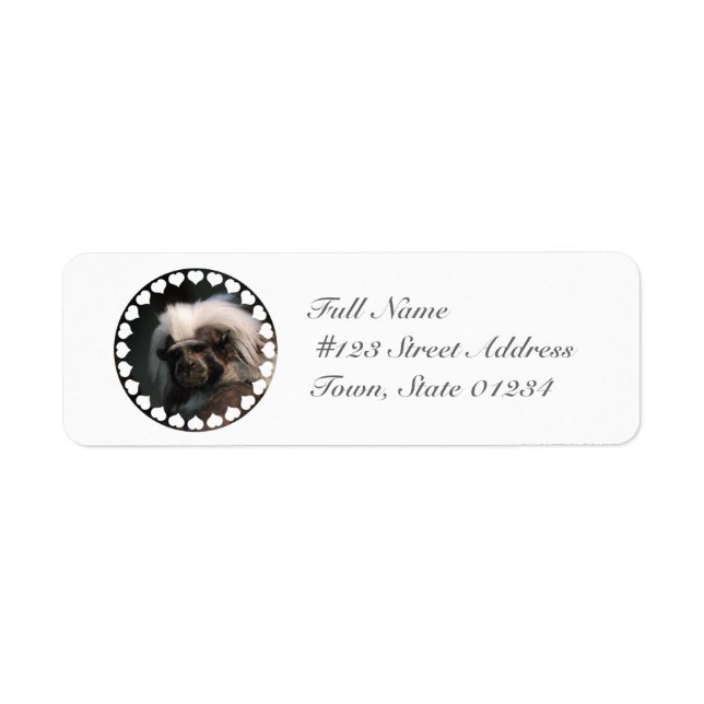 Cute Cotton Topped Tamarin Mailing Labels (Front)