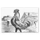 Cute Country vintage rooster party