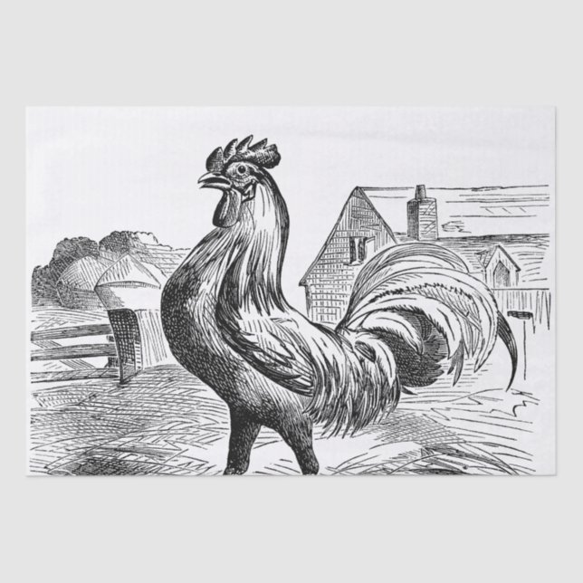Cute Country vintage rooster party Tissue Paper (Front)