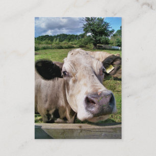 CUTE COW BUSINESS CARD