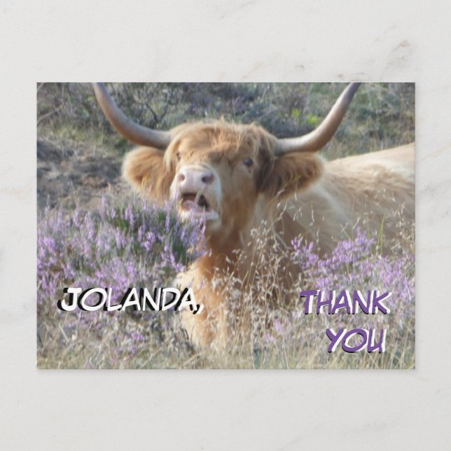 Cute Cow Close Up Thank You Postcard (Front)