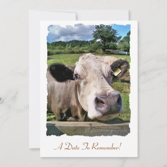 CUTE COW INVITATION (Front)