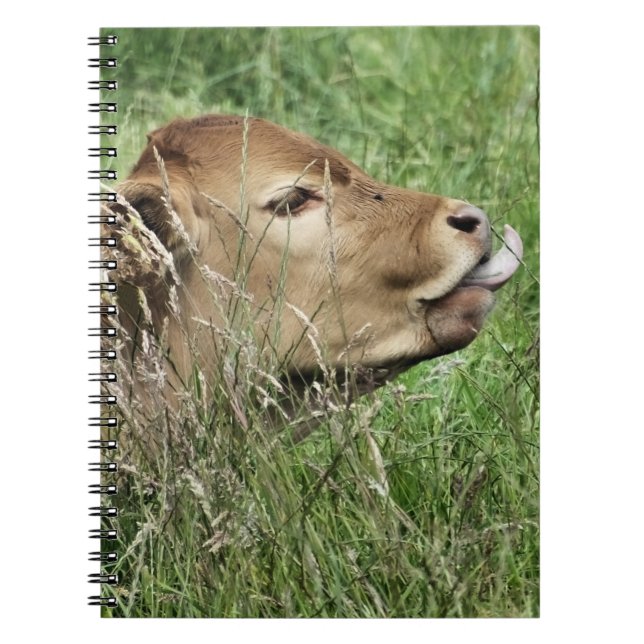 CUTE COW SPIRAL NOTEBOOK (Front)