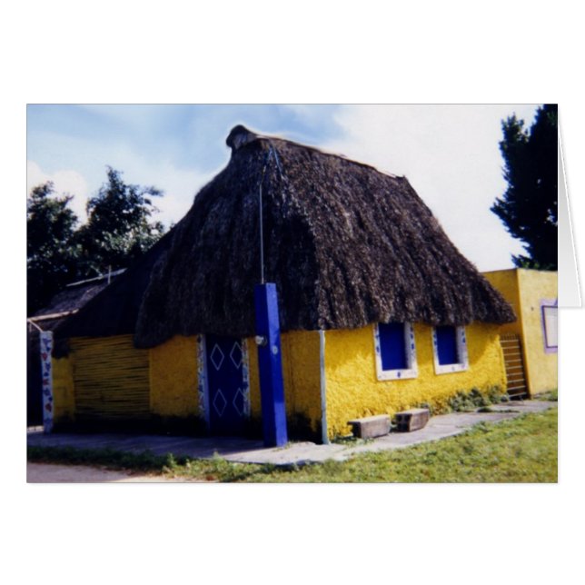 Cute Cozumel Thatched Roof Home (Front Horizontal)