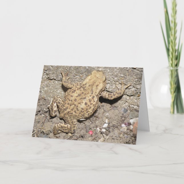 Cute Crawling Toad Greeting Card (Front)