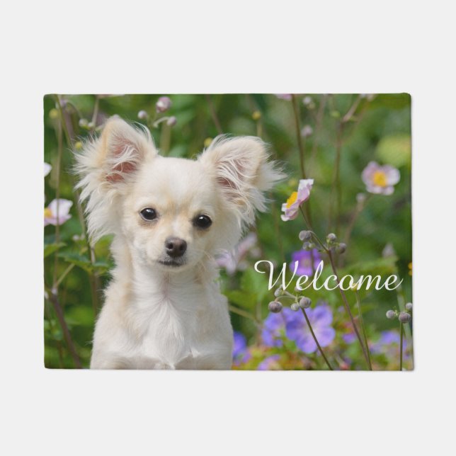 Cute cream Chihuahua Dog Puppy Pet Photo - Welcome Doormat (Front)
