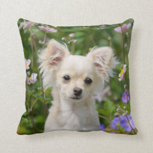 Cute cream Chihuahua Dog Puppy Photo - Cushion