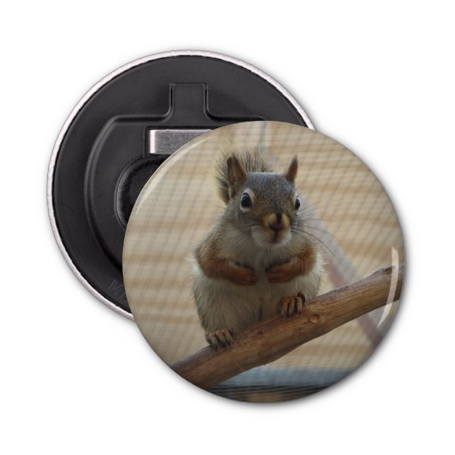 Cute Crouching Squirrel on Branch Bottle Opener (Front)