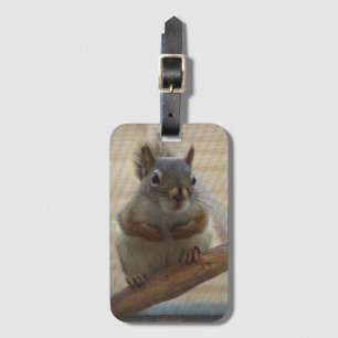 Cute Crouching Squirrel on Branch Luggage Tag