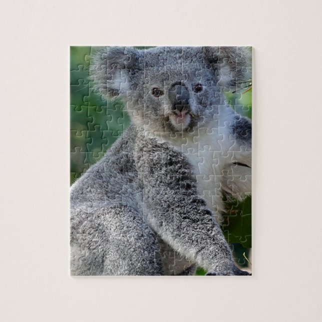 Cute cuddly Australian koala Jigsaw Puzzle (Vertical)