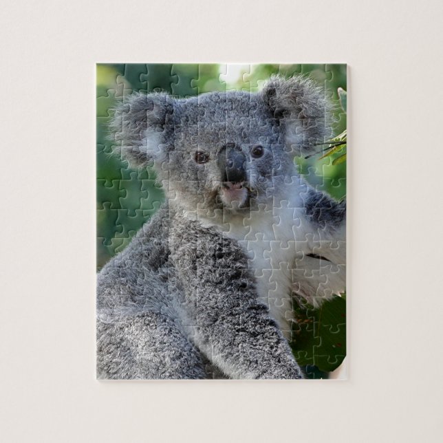 Cute cuddly Australian koala Jigsaw Puzzle (Vertical)