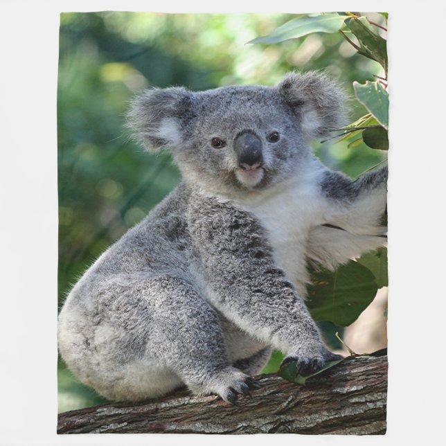 Cute cuddly Australian koala (vertical) in gumtree Fleece Blanket (Front)