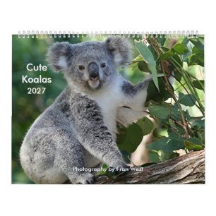Cute cuddly Koala Calendar 2027
