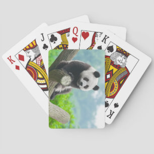 Cute Cuddly Panda Bear Sitting on a Tree Branch Playing Cards