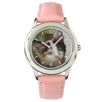 Cute Curious Cat Kitten Prying Eyes .. dial-plate