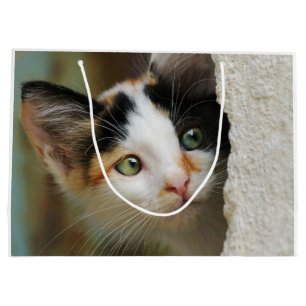 Cute Curious Cat Kitten Prying Eyes Portrait Purr Large Gift Bag