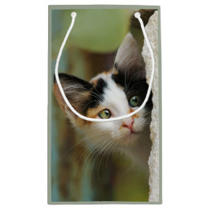 Cute Curious Cat Kitten Prying Eyes Portrait Wrap Small Gift Bag