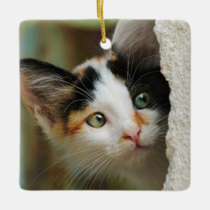 Cute Curious Cat Kitten with Prying Eyes - Ceramic Tree Decoration