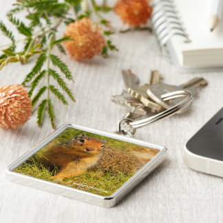 Cute Curious Columbian Ground Squirrel Key Ring