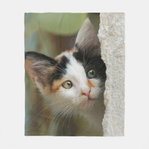Cute Curious Kitten Prying Eyes, comfortable Fleece Blanket