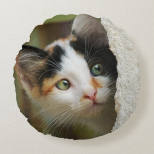 Cute Curious Kitten Prying Eyes, smooth Round Cushion