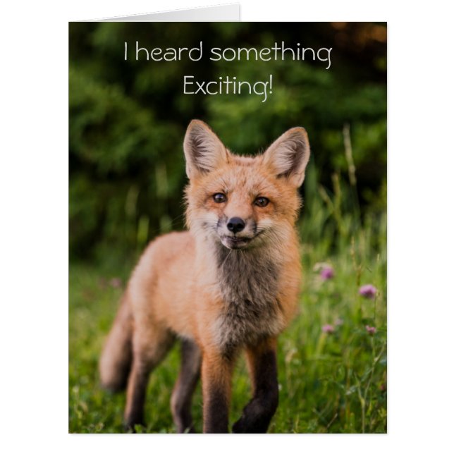 Cute Curious Red Fox Birthday (Front)