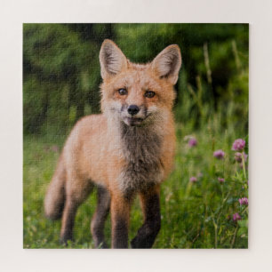 Cute Curious Red Fox Jigsaw Puzzle