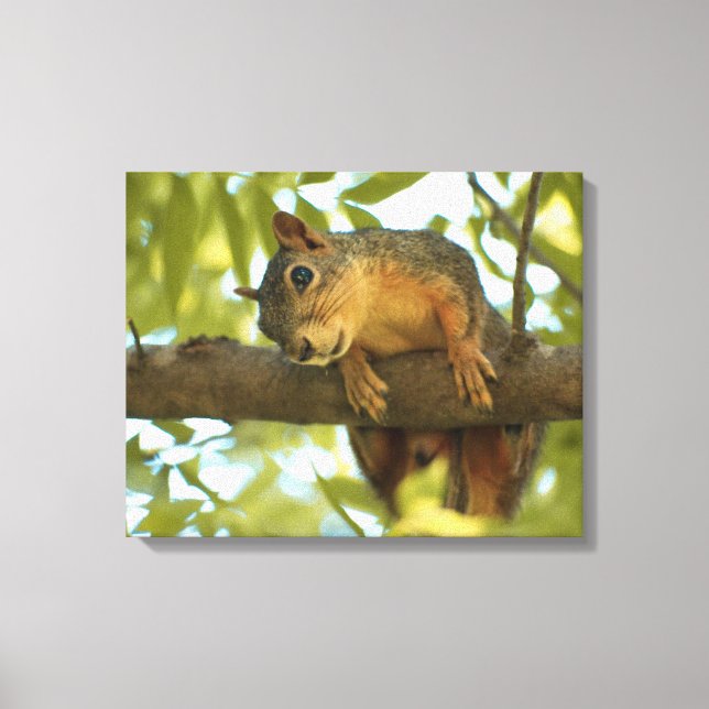 Cute & Curious Squirrel Nature Photography Canvas Print (Front)