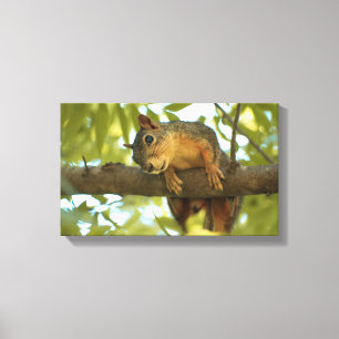 Cute & Curious Squirrel Nature Photography Canvas Print