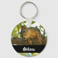 Cute & Curious Squirrel Nature Photography