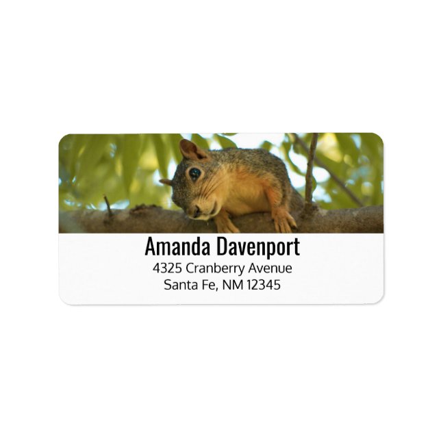 Cute & Curious Squirrel Nature Photography Label (Front)