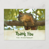 Cute Curious Squirrel Nature Photography